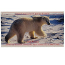 1996 Canada $2 Uncirculated Coin, Bank Note & Stamp Set