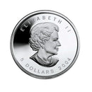 2004 Canada Arctic Fox .9999 Silver 4 Coin Fractional Set (No Tax)
