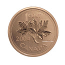 2004P Canada 1 Cent Specimen