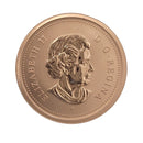 2004P Canada 1 Cent Specimen