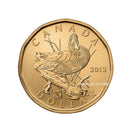 2013 Canada Blue-Winged Teal Loon Specimen