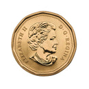 2013 Canada Blue-Winged Teal Loon Specimen