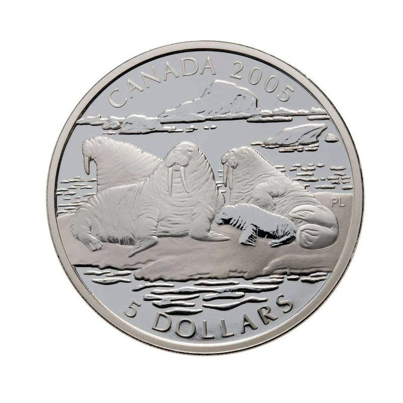 2005 Canada $5 Canadian Wildlife Series The Atlantic Walrus And Calf Fine Silver Coin & Stamps