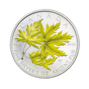 2006 Canada $5 Coloured Maple Leaf Fine Silver Coin ( No Tax )