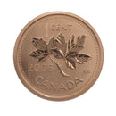 2006P Canada 1 Cent Specimen