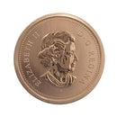 2006P Canada 1 Cent Specimen