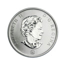 2007 Canada 25 Cents Coloured Coin Birds Of Canada Red-Breasted Nuthatch