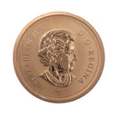 2007 Canada 1 Cent Specimen