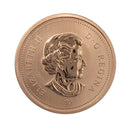 2008 Canada 1 Cent Specimen