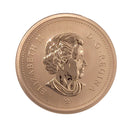 2009 Canada 1 Cent Specimen