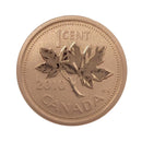 2010 Magnetic Canada 1 Cent Specimen