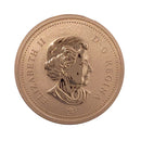 2010 Magnetic Canada 1 Cent Specimen