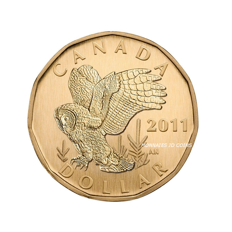 2011 Canada Great Gray Owl Loon Specimen