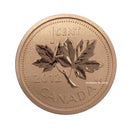 2012 Canada 1 Cent Specimen