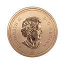 2012 Canada 1 Cent Specimen