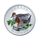 2014 Canada 25 Cents Coloured Ducks of Canada Coin The Pintail
