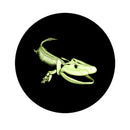 2014 Canada 25 Cents Coloured Coin Prehistoric Creatures Tiktaalik