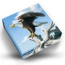 2014 Canada $100 Majestic Bald Eagle 1 oz. Fine Silver Coin $100 for $100 Series