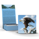2014 Canada $100 Majestic Bald Eagle 1 oz. Fine Silver Coin $100 for $100 Series