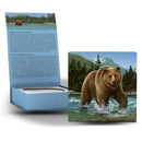 2014 Canada $100 The Grizzly 1 oz. Fine Silver Coin $100 for $100 Series
