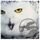 2014 Canada 50$ For 50$ Series