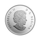 2015 Canada $10 Canoe Across Magnificent Mountains Fine Silver (No Tax)