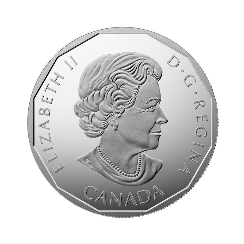 2015 Canada $10 Looney Tunes Daffy Duck ''You're Despicable'' Fine Silver (No Tax)