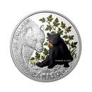 2015 Canada $20 Baby Animals Black Bear Fine Silver Coin And Stamp