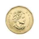 2009 Canada Great Blue Heron Loon Specimen