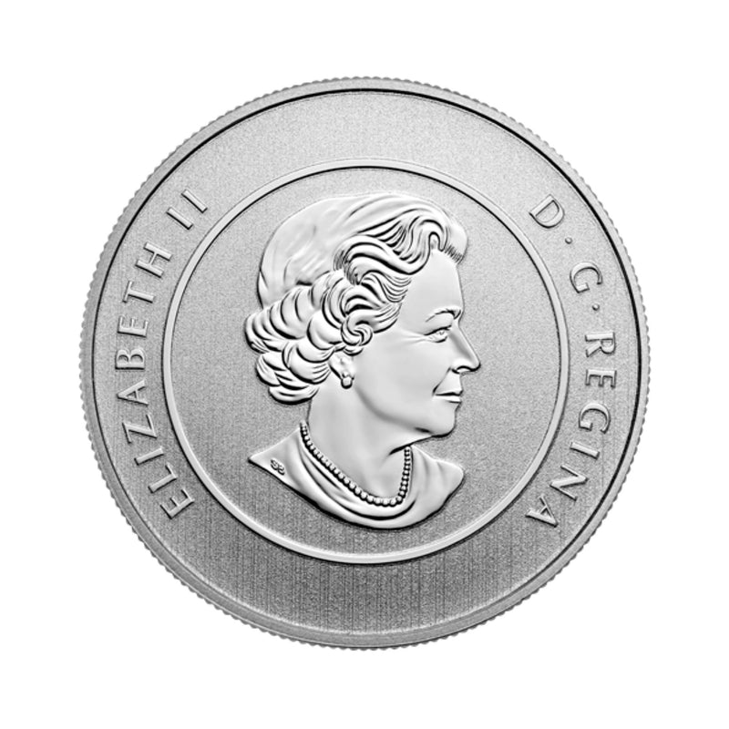 2016 Canada $25 for $25 True North Fine Silver