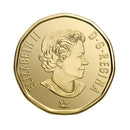2017 Canada Loon Connecting A Nation Proof Like Coin
