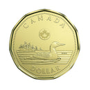 2017 Canada Loon BU(MS-63)