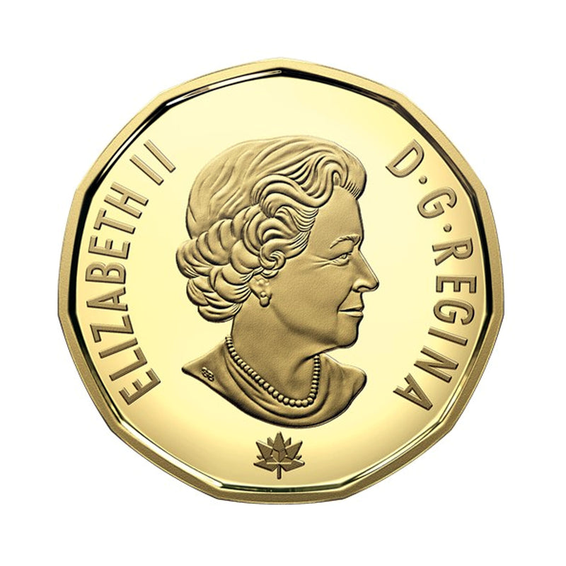 2017 Canada Connecting A Nation Loon Fine Silver Proof Gold Plated Coin