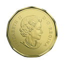 2018 Canada Christmas Loon Holly And Candy Canes Brillant Uncirculated