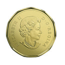 2018 Canada Baby Loon Crib & Teddy Bears Brillant Uncirculated