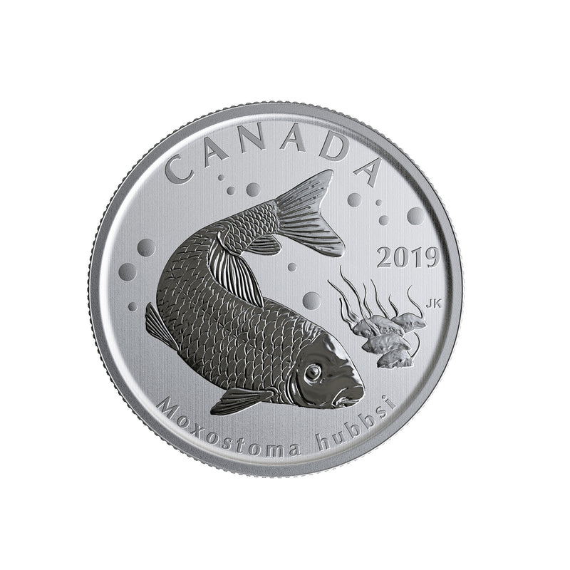 2019 50 Cent Canada's Wildlife Treasures 5 Coins Set