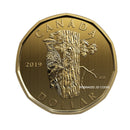 2019 Canada Pileated Woodpecker Loon Specimen