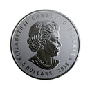 2019 Canada $5 This is Canada! Pure Silver Glow-in-the-Dark Coin