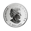 2019 $3 Celebrating Canadian Fun & Festivities - Aurora Borealis Silver (No Tax)