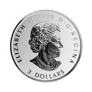 2019 $3 Celebrating Canadian Fun & Festivities - Niagara Falls Fine Silver (No Tax)