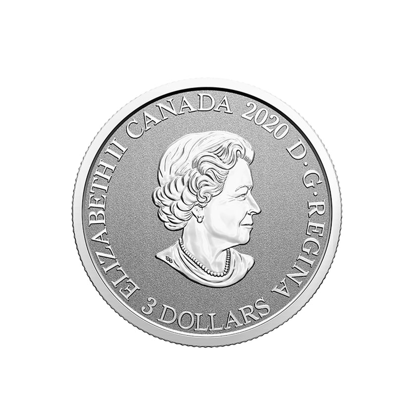 2020 $3 Floral Emblems of Canada - Nova Scotia Mayflower Silver (No Tax)