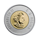 2010 Canada $2 Young Lynx Edition Special Baby Animals Specimen Coin