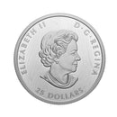 2021 Canada $25 Bold Bison Extraordinarily High Relief Fine Silver (No Tax)