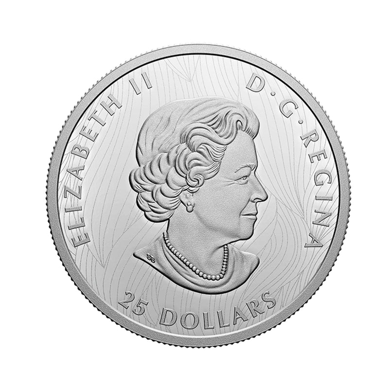 2021 Canada $25 Bold Bison Extraordinarily High Relief Fine Silver (No Tax)