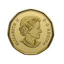2021 Canada Loon Proof Non Silver Coin