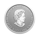 2021 $3 Floral Emblems of Canada - Northwest Territories - Mountain Avens Silver (No Tax)