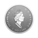 2022 Canada A Radiant Crown Silver Maple Leaf Fine Silver 99.99% Fractional Set