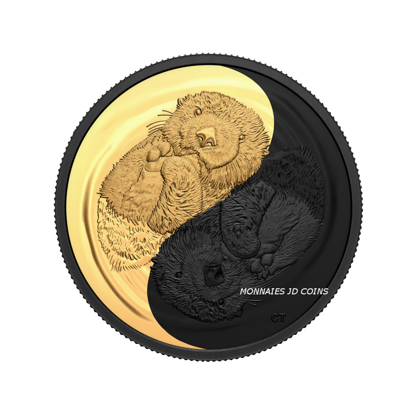 2022 Canada $20 Black and Gold The Sea Otter Fine Silver Coin (No Tax)