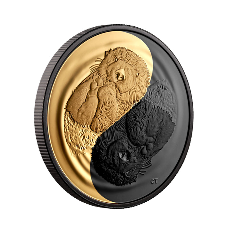 2022 Canada $20 Black and Gold The Sea Otter Fine Silver Coin (No Tax)