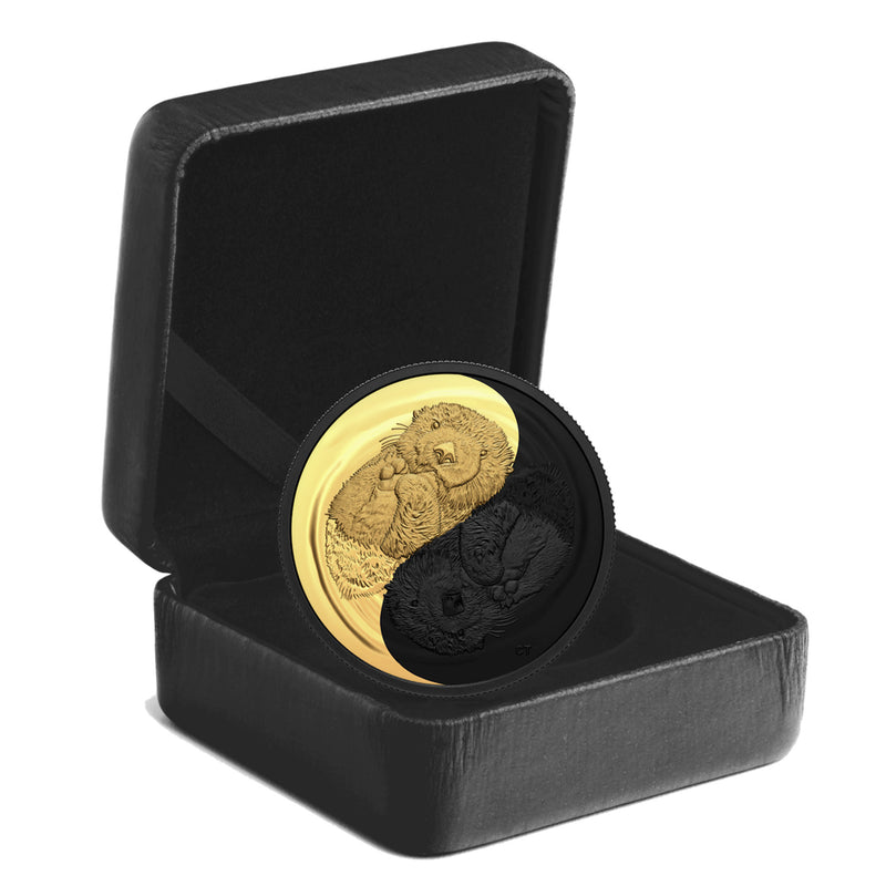 2022 Canada $20 Black and Gold The Sea Otter Fine Silver Coin (No Tax)